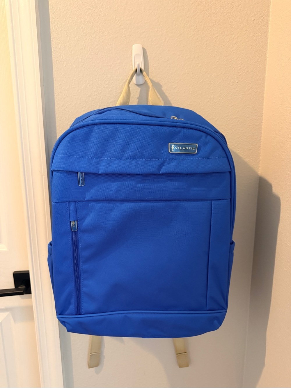 Ocean Blue Men's Travel Laptop Backpack with Organizers